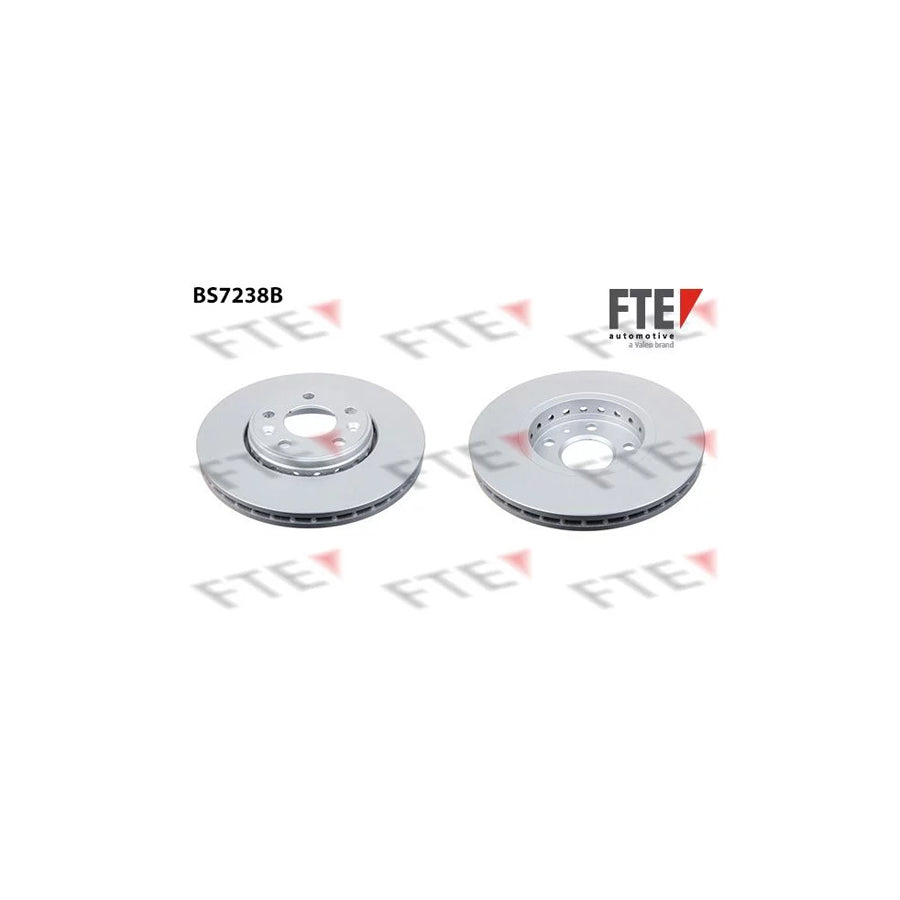 FTE 9081219 Brake Disc