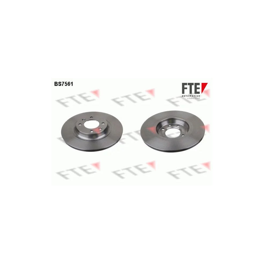 FTE Bs7561 Brake Disc