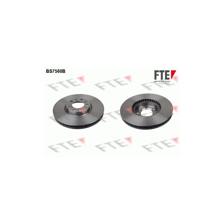 FTE Bs7560B Brake Disc