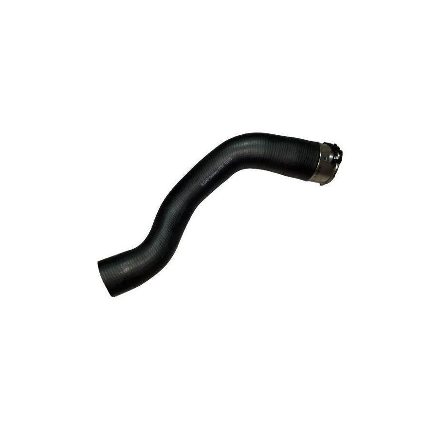 BUGIAD 81751 Charger Intake Hose for Fiat 500L (351, 352)