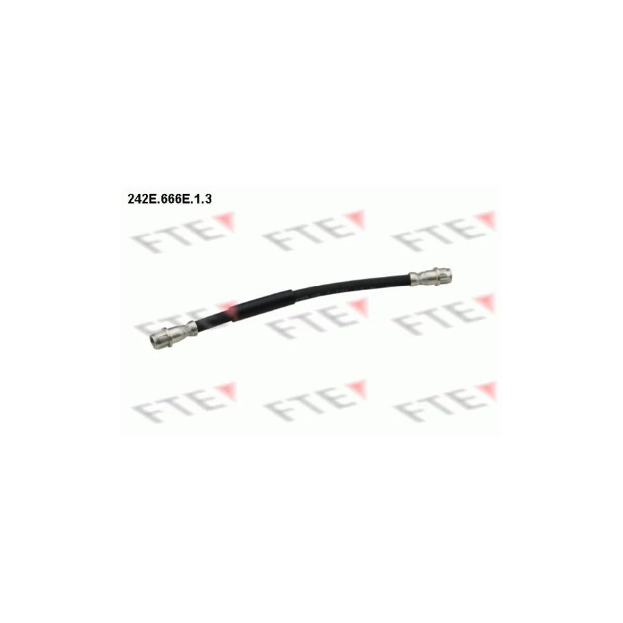 FTE 242E.666E.1.3 Brake Hose