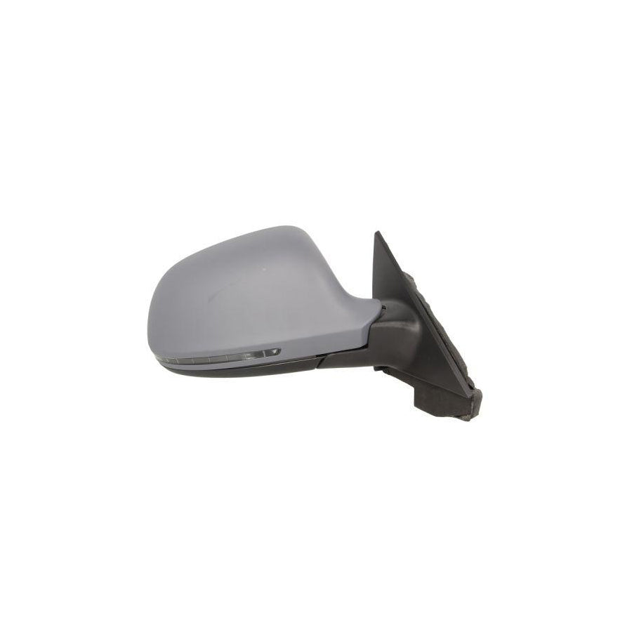 Blic 5402-25-034332P Wing Mirror for Audi A3