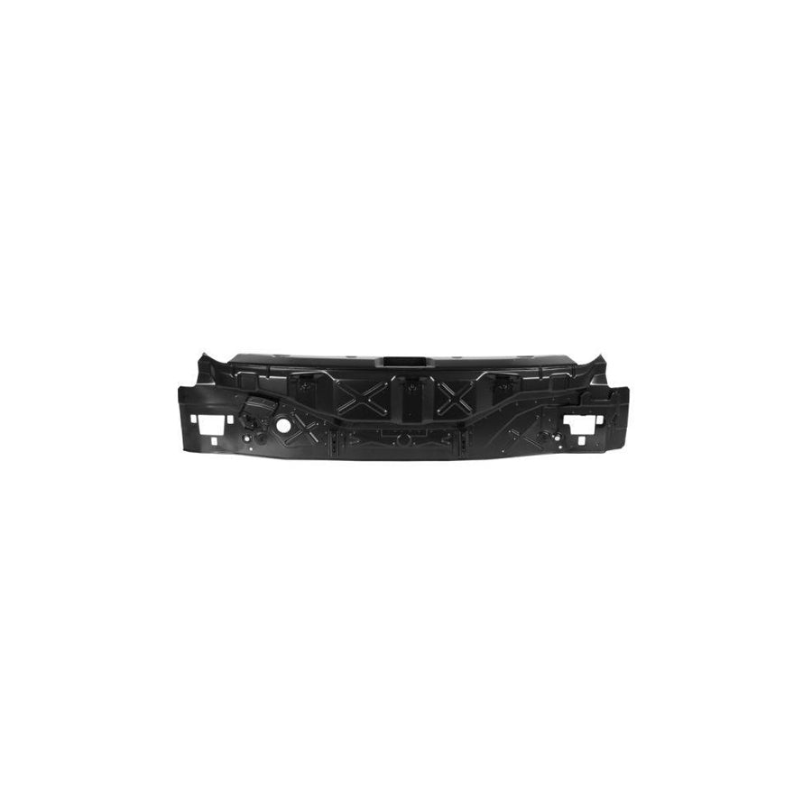 Blic 6503-05-1617650P Rear Panel for Nissan Qashqai / Qashqai 2 I (J10, Nj10)