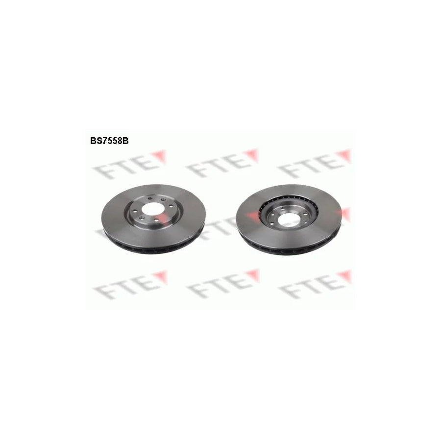 FTE Bs7558B Brake Disc