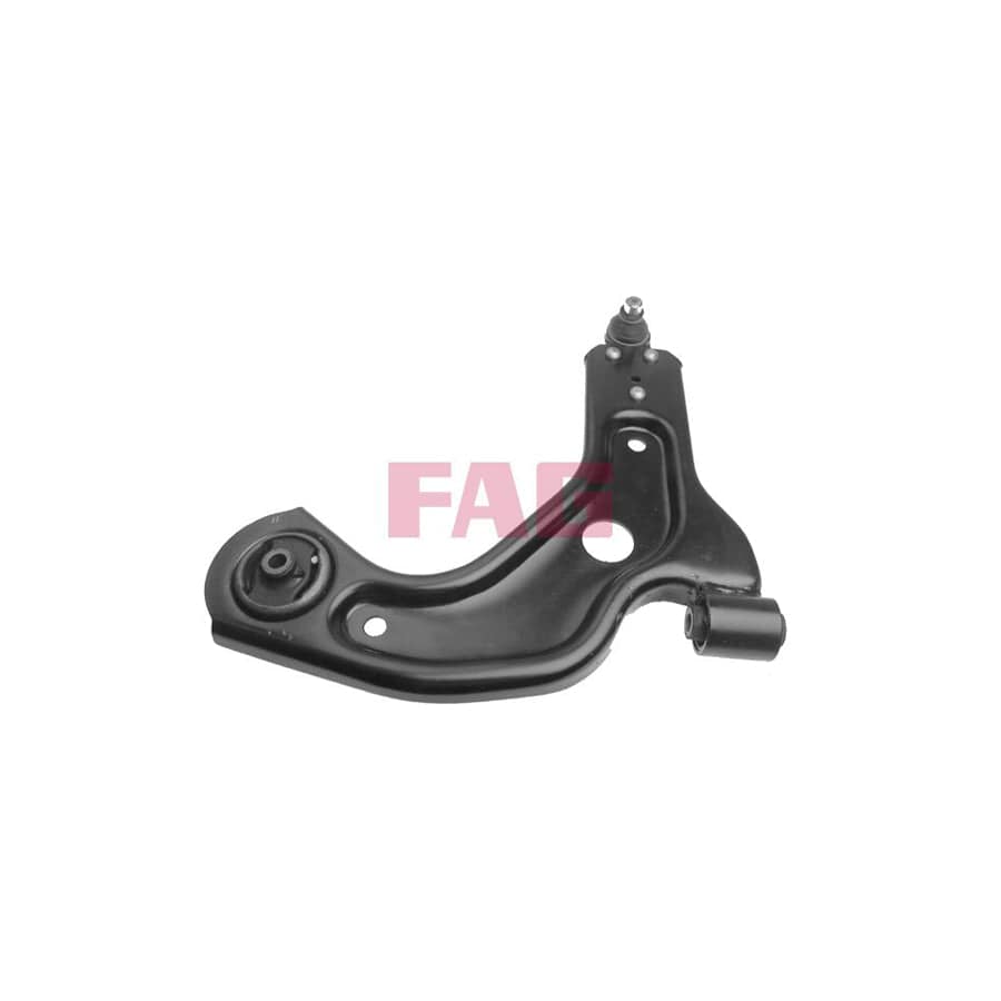 FAG 821 0255 10 Suspension Arm