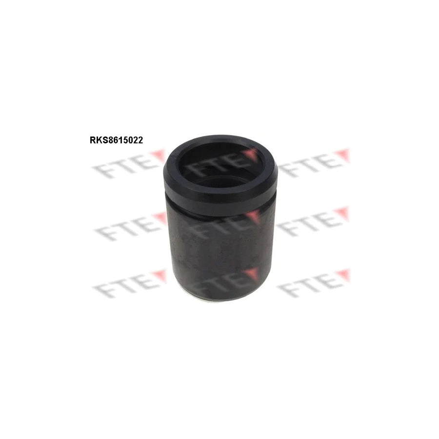 FTE 9313009 Piston, Brake Caliper