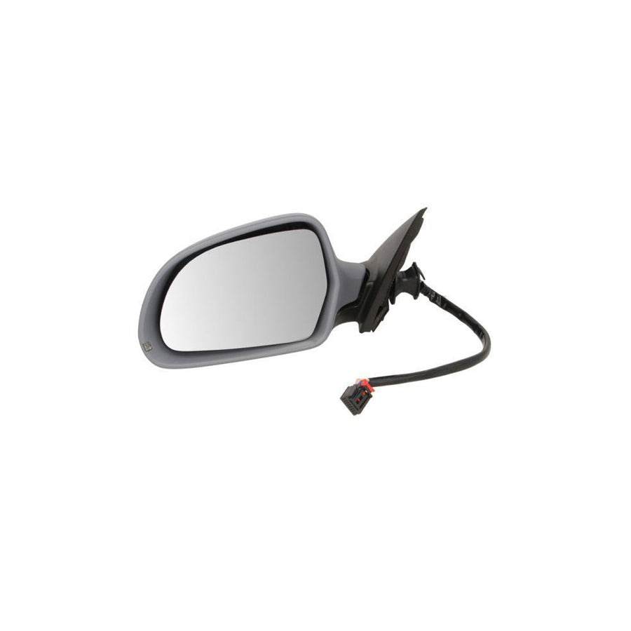 Blic 5402-25-032333P Wing Mirror for Audi A4