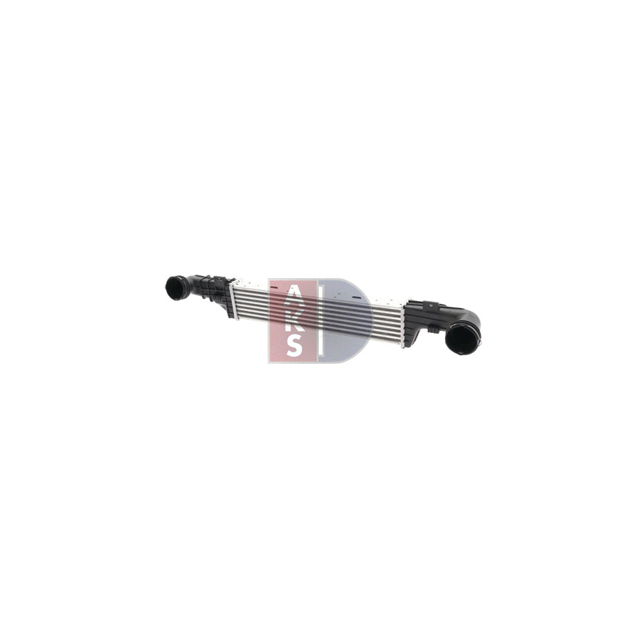 AKS Dasis 133009N Coolant Expansion Tank
