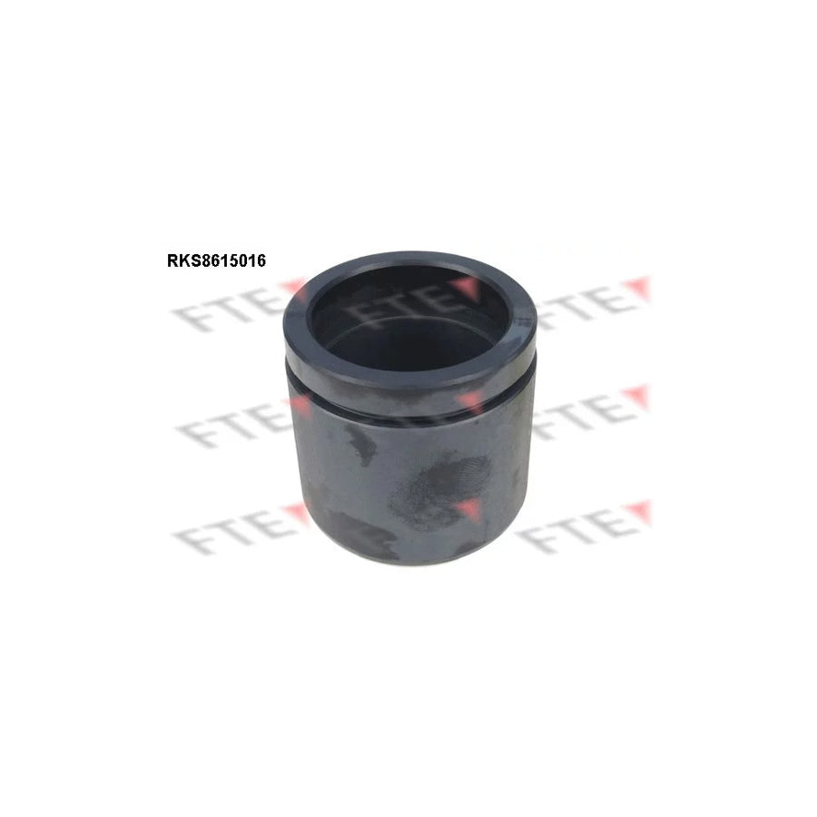 FTE 9313008 Piston, Brake Caliper
