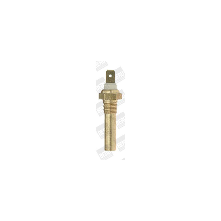 Beru St098 Sensor, Coolant Temperature