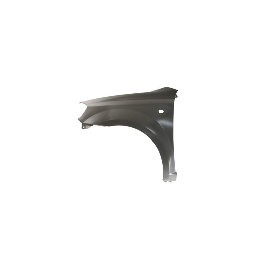 Blic 6504-04-1135311P Wing Fender