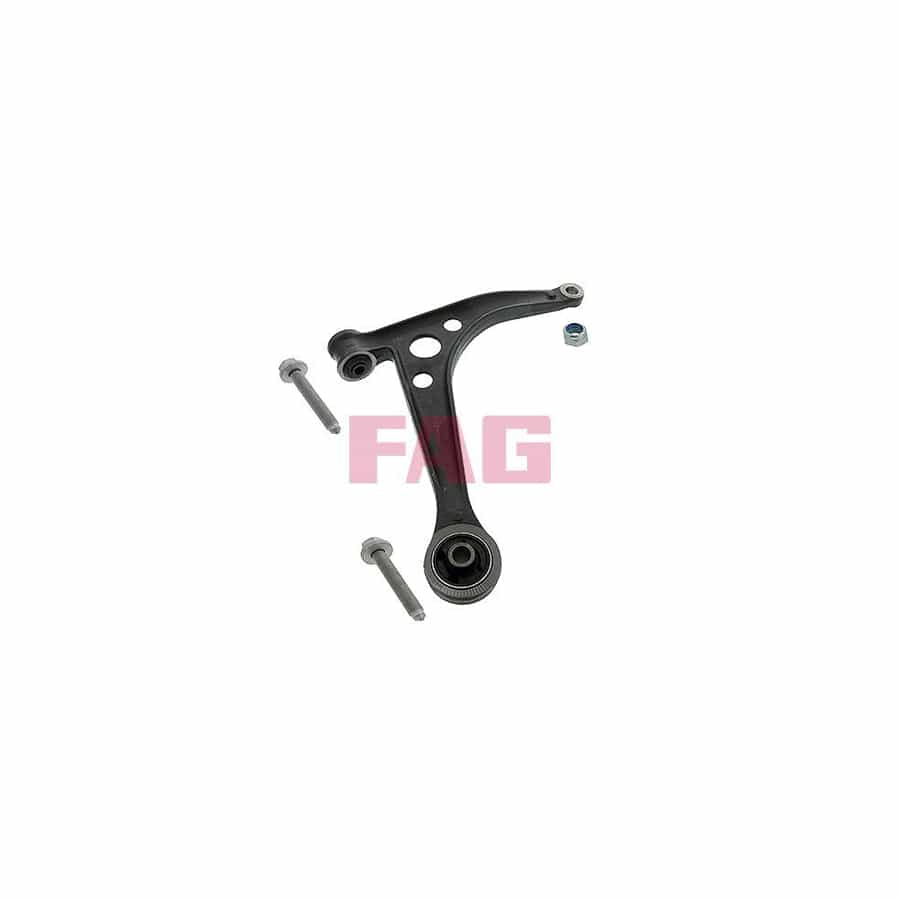FAG 821 0254 10 Suspension Arm