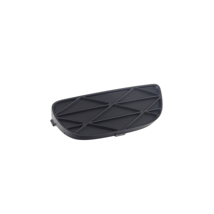 Genuine BMW 51118038288 E70 Closed Grid, Right (Inc. X5 3.5d, X5 3.0d & X5 35dX)