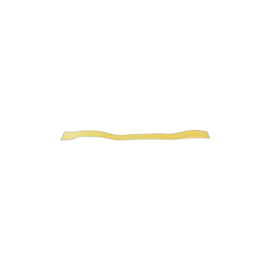 Genuine BMW 51128064447 F82 F83 Left Protection Foil (Inc. M4 GTS)
