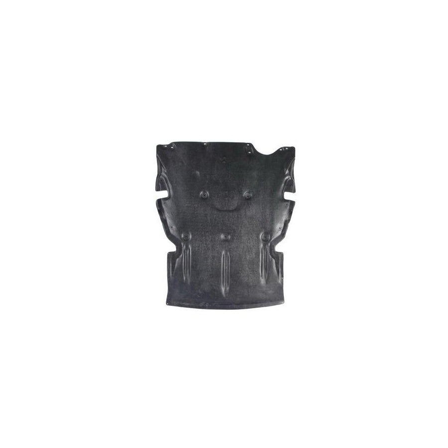 Blic 6601-02-0063860P Engine Cover for BMW 3 Series