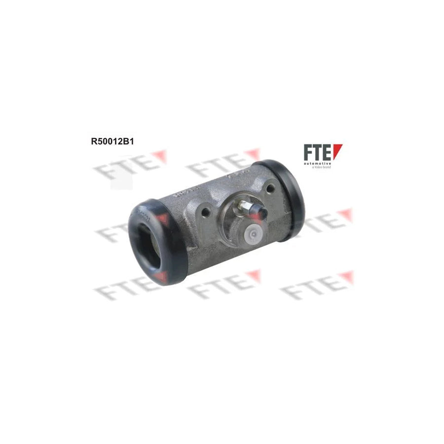 FTE R50012B1 Wheel Brake Cylinder