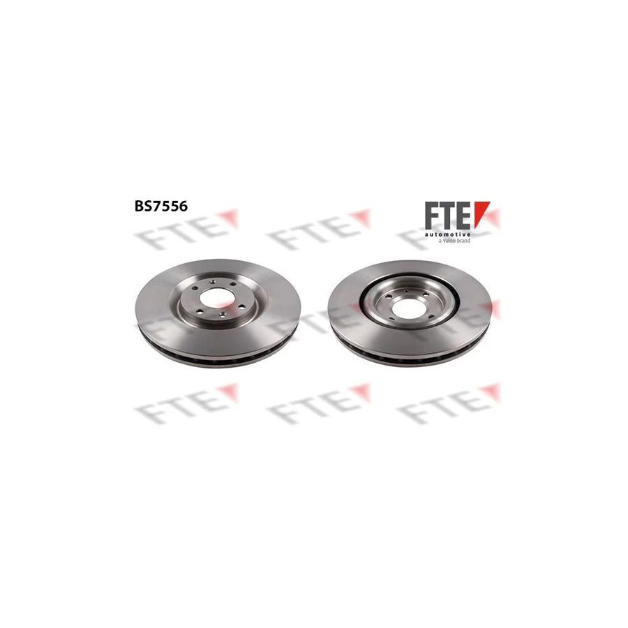 FTE Bs7556 Brake Disc for Peugeot 406 Coupe