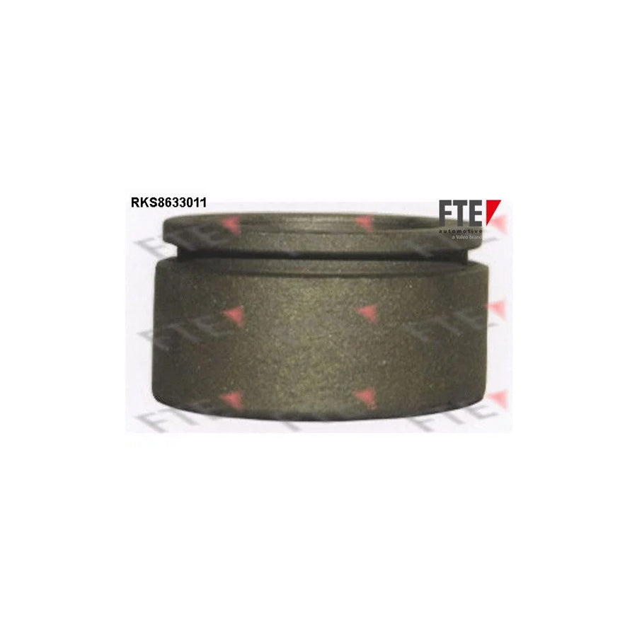 FTE 9313036 Piston, Brake Caliper Suitable for Mercedes-Benz S-Class Saloon (W140)