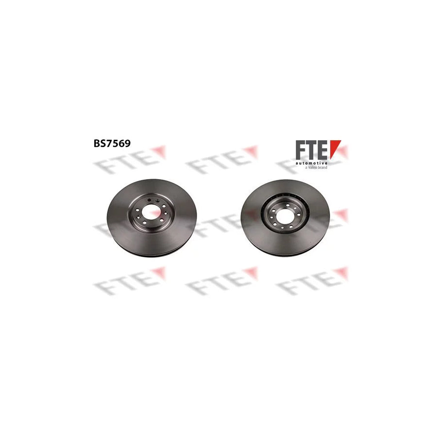 FTE Bs7569 Brake Disc for Peugeot Rcz Coupe