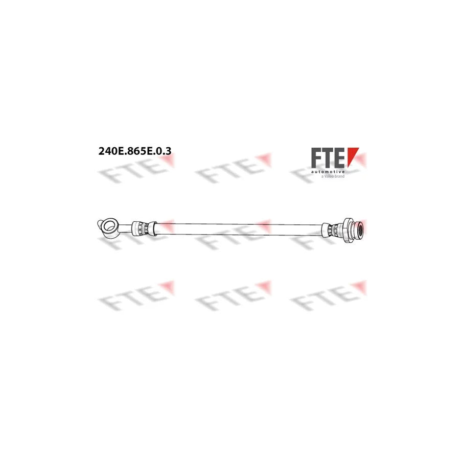 FTE 240E.865E.0.3 Brake Hose