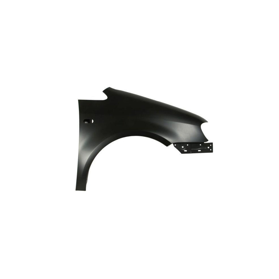 Blic 6504-04-9571312P Wing Fender for VW Caddy