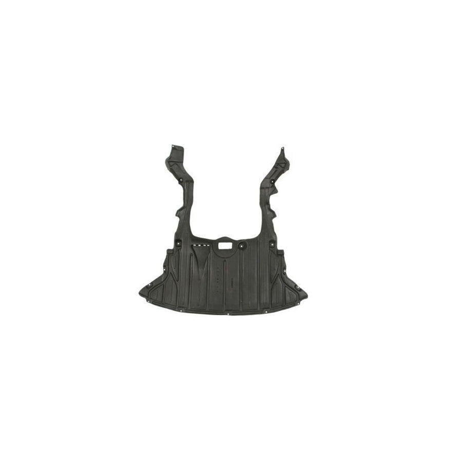 Blic 6601-02-0092861P Engine Cover for BMW X1 (E84)