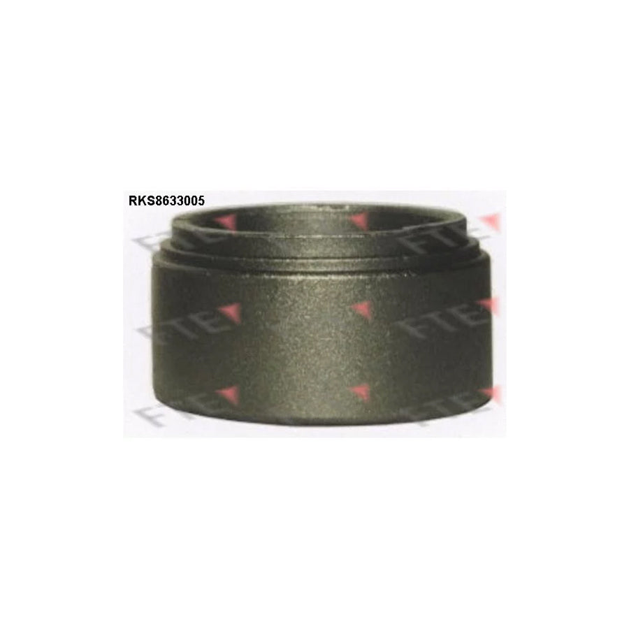 FTE 9313034 Piston, Brake Caliper