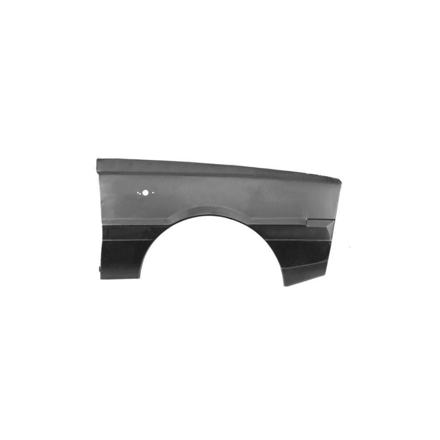 Blic 6504-04-1151314P Wing Fender for FSO Polonez