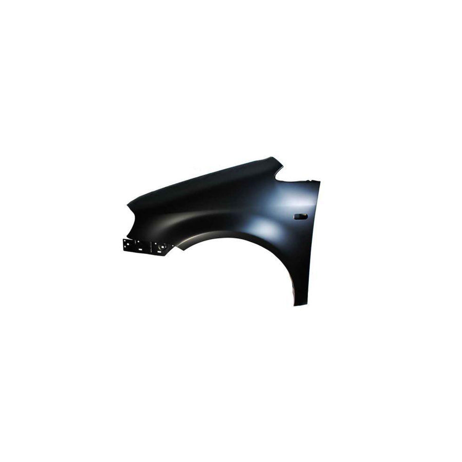 Blic 6504-04-9571311P Wing Fender for VW Caddy