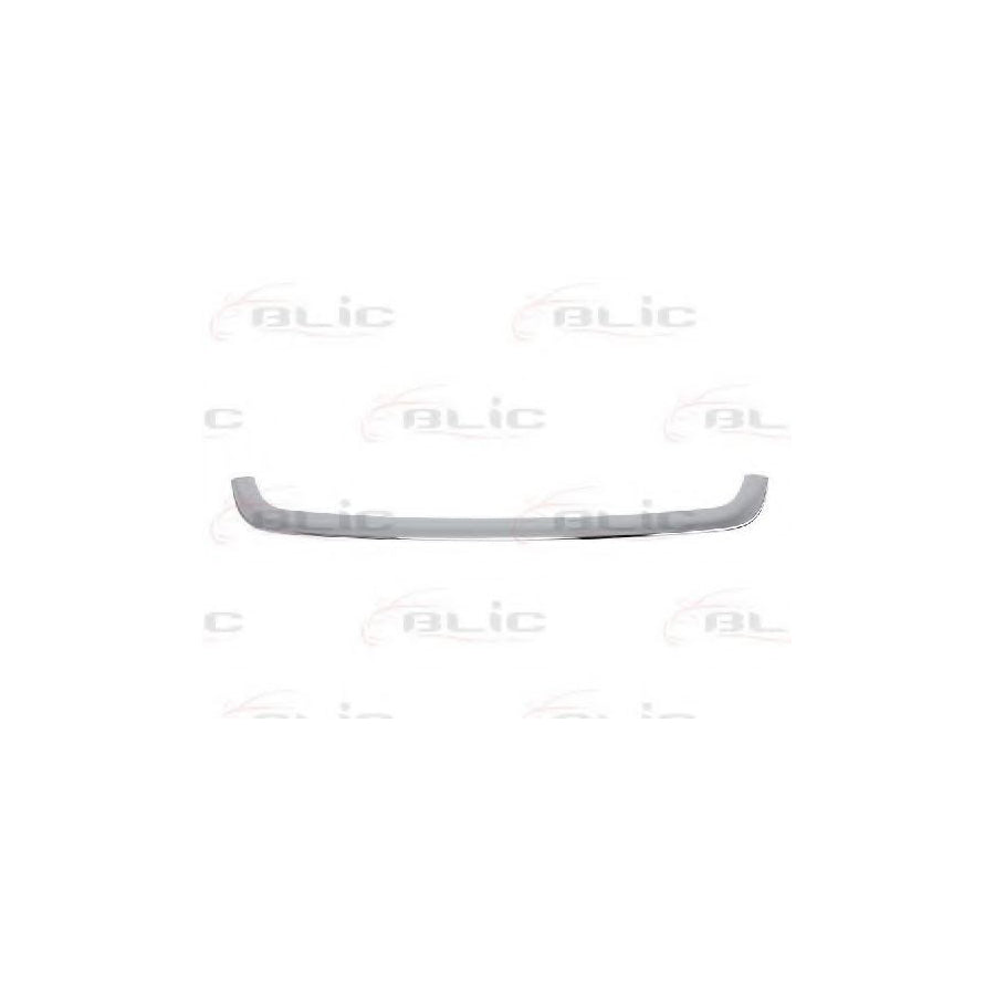 Blic 6502-07-6046993P Trim / Protective Strip, Radiator Grille for Renault Scénic III (Jz0/1_)