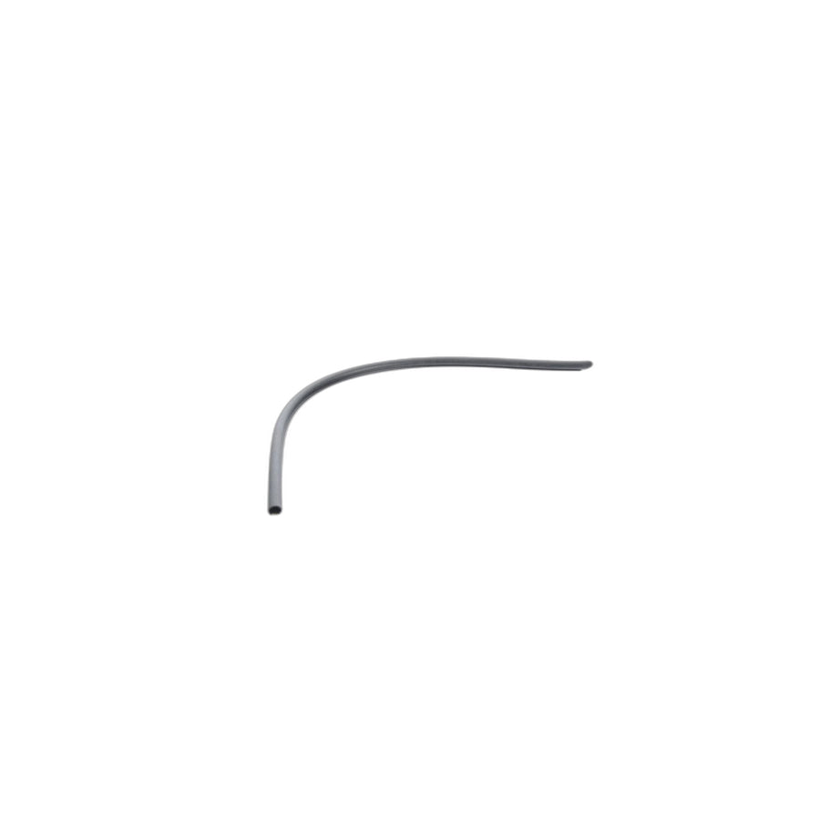 Genuine BMW 51703400816 E83 Door Weatherstrip Bottom Right (Inc. X3)
