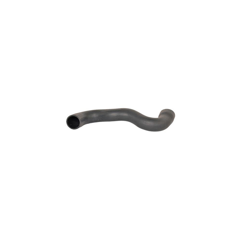 BUGIAD 88570 Charger Intake Hose for Citroen C5