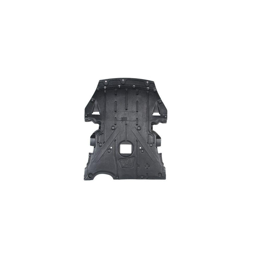 Blic 6601-02-0090860P Engine Cover for BMW Z4