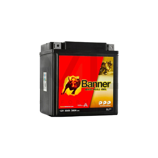 Banner GT30-3 Bike Bull GEL Battery (53001)