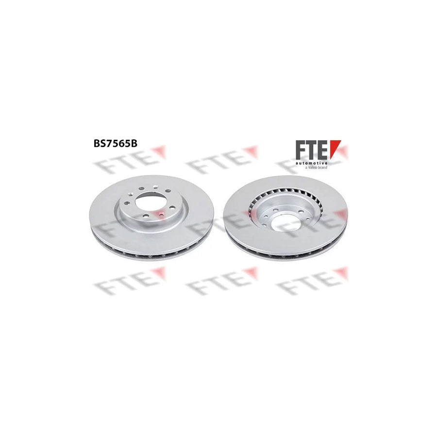 FTE Bs7565B Brake Disc for Peugeot 308