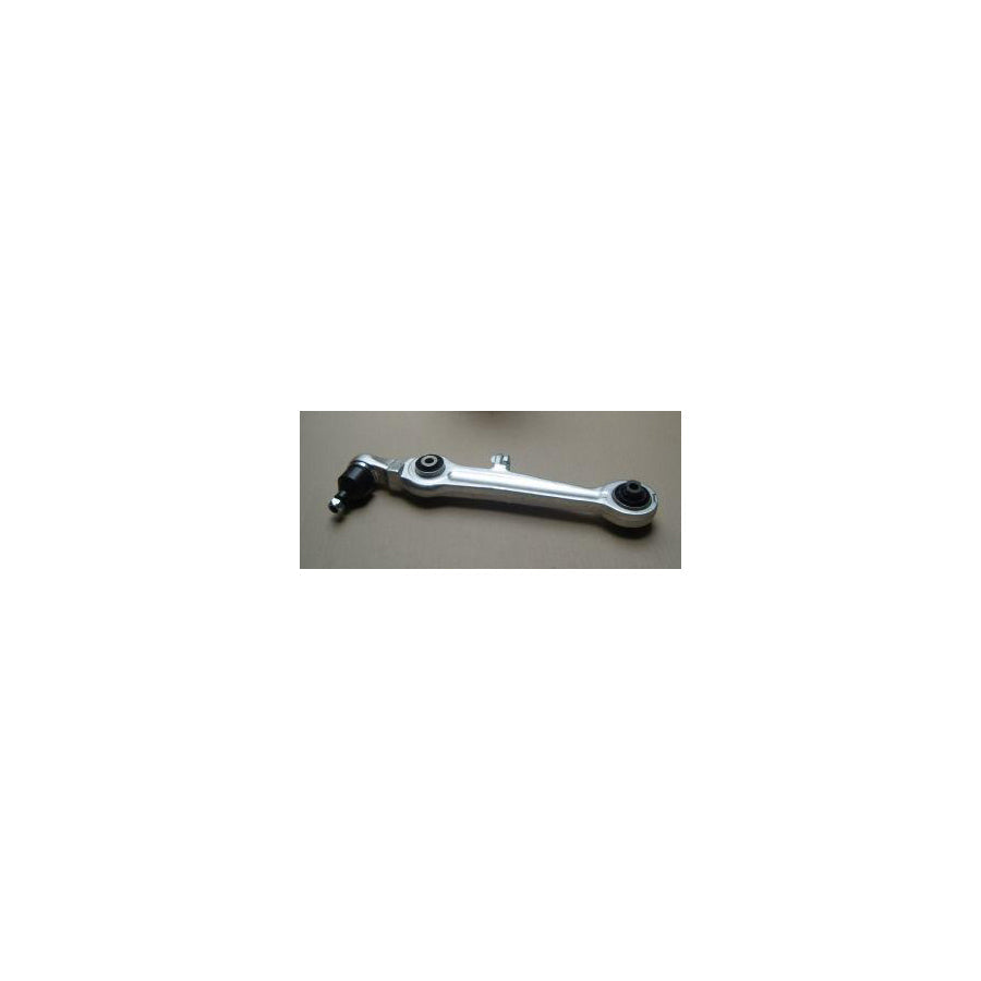 BUGIAD Bsp20261 Suspension Arm
