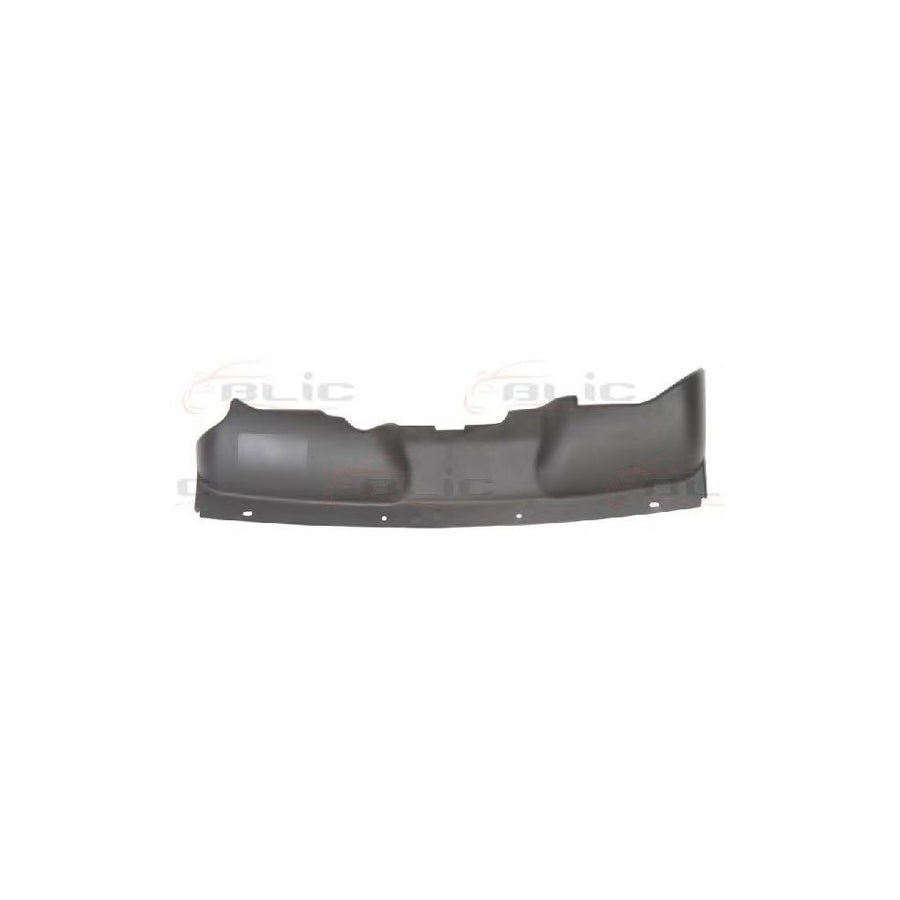 Blic 6502-03-2533203P Front Cowling for Ford Focus