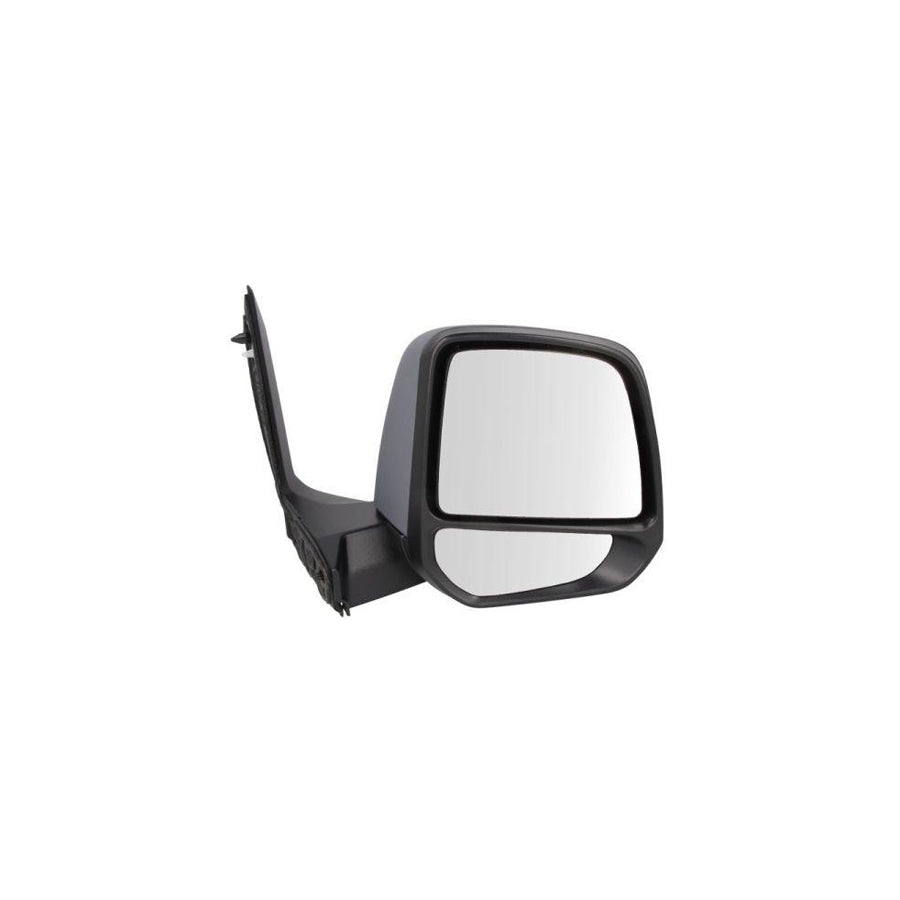 Blic 5402-03-2001244P Wing Mirror