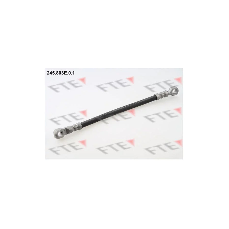 FTE 245.803E.0.1 Brake Hose