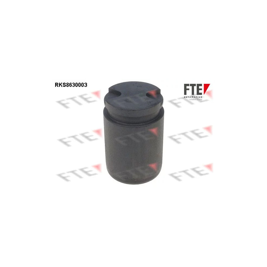 FTE 9313025 Piston, Brake Caliper