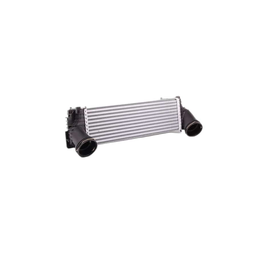 Genuine BMW 17517809321 E70 F15 F16 Charge-Air Cooler (Inc. X5)