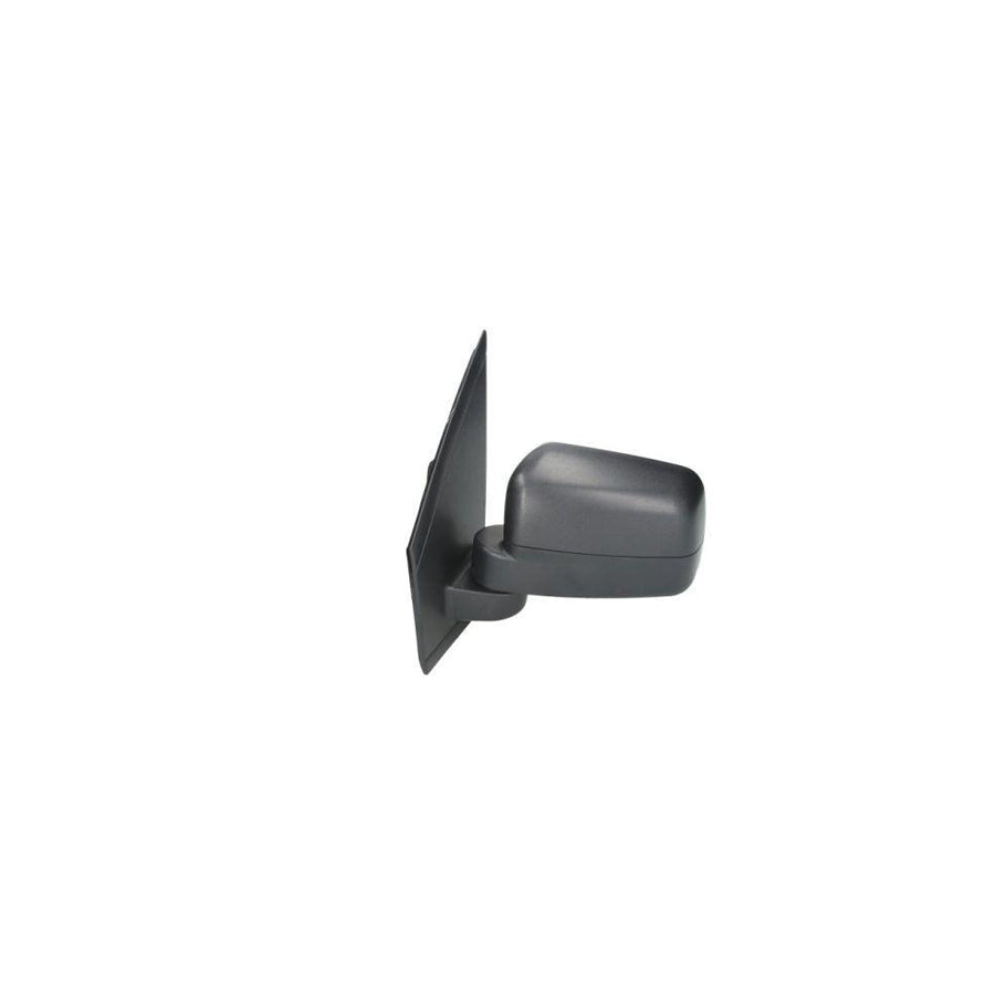 Blic 5402-03-2001239P Wing Mirror