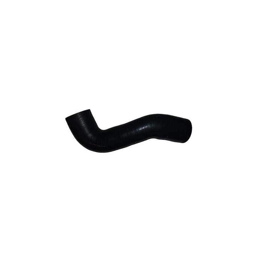 BUGIAD 88589 Charger Intake Hose