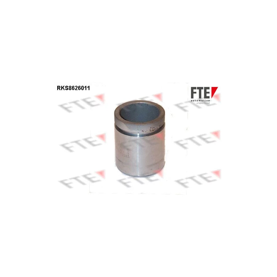 FTE 9313023 Piston, Brake Caliper
