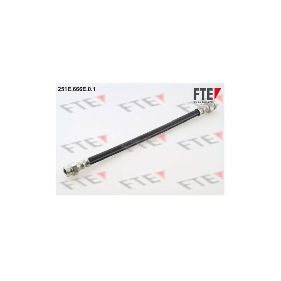 FTE 251E.666E.0.1 Brake Hose for Mazda Demio Estate (Dw)