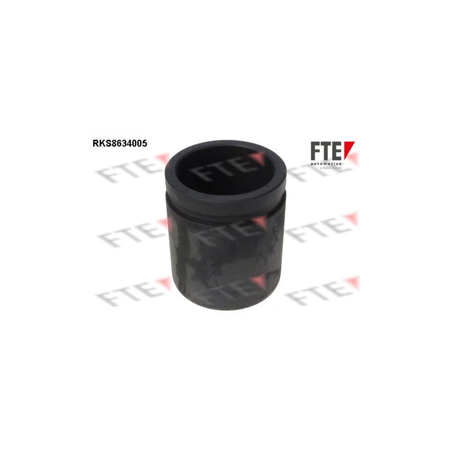 FTE 9313051 Piston, Brake Caliper