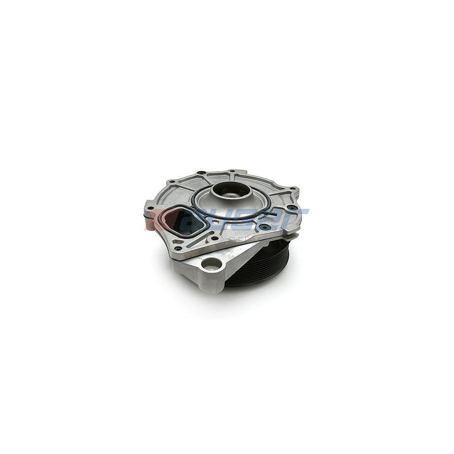 Auger 81811 Water Pump