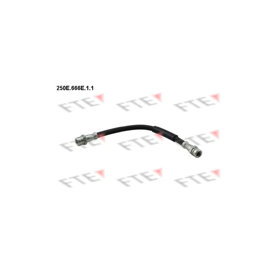 FTE 250E.666E.1.1 Brake Hose for Audi Tt