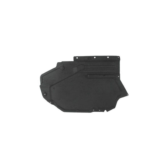 Blic 6601-02-0096983P Engine Cover