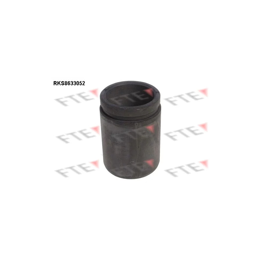 FTE 9313048 Piston, Brake Caliper